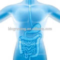 Probiotics for bowel flora balance